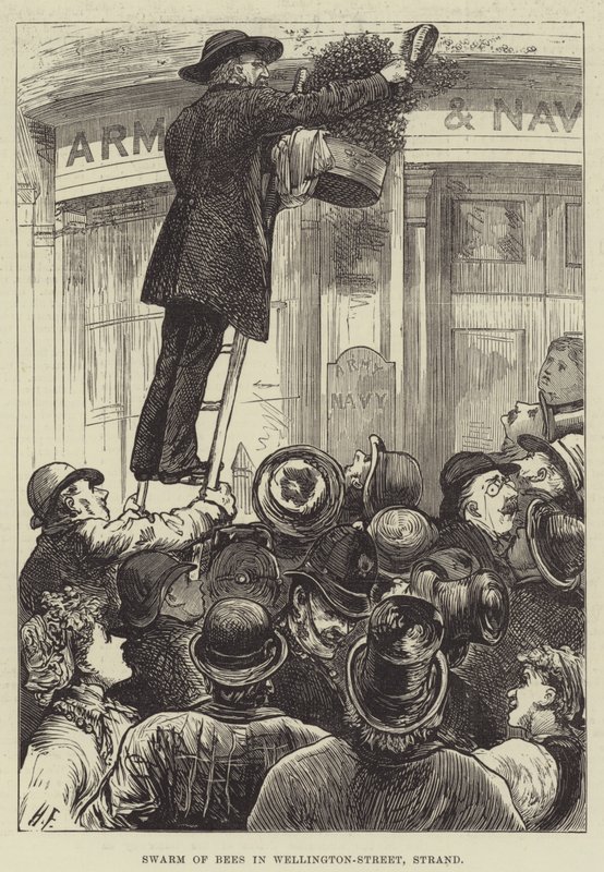 Enjambre de abejas en Wellington-Street, Strand de Harry Furniss