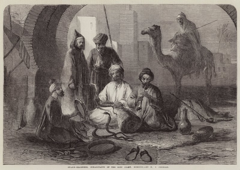 Encantadores de serpientes, habitantes de la costa de Riff, Marruecos de Harry John Johnson