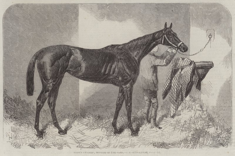 Brown Duchess, ganadora de los Oaks de Harry Hall