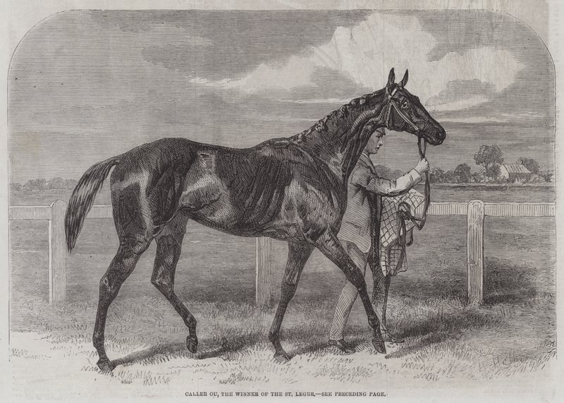 Caller Ou, el ganador del St Leger de Harry Hall