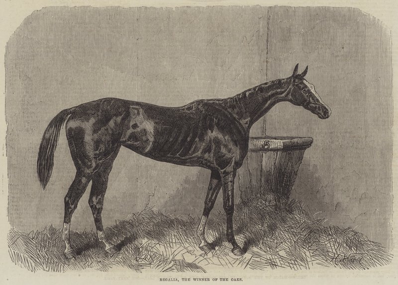 Regalia, la Ganadora de los Oaks de Harry Hall