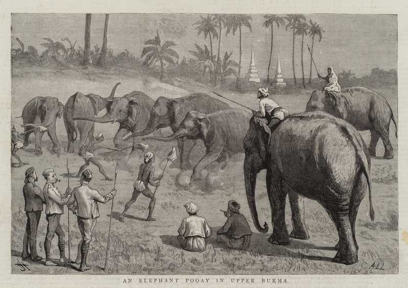 Un elefante Pooay en la Alta Birmania de Harry Hamilton Johnston