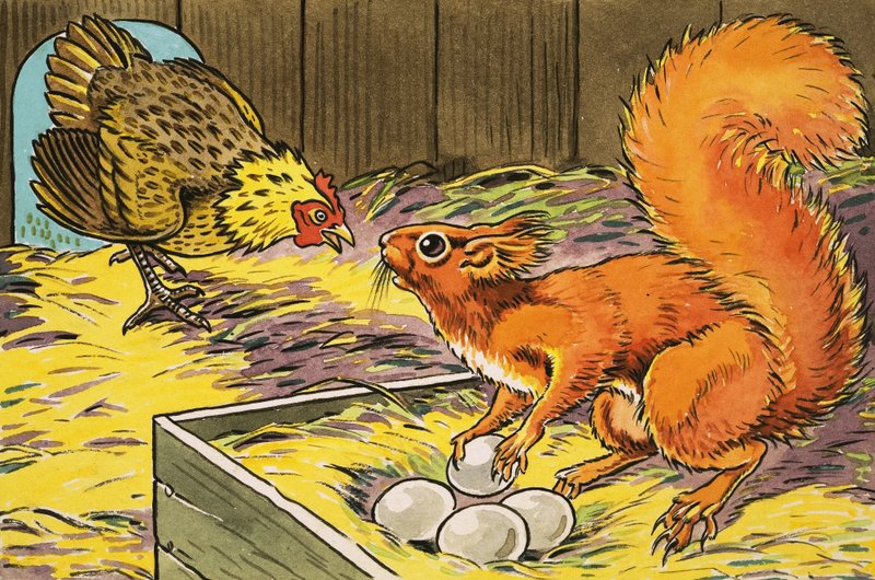 Pequeña ardilla roja de Harry M. Pettit