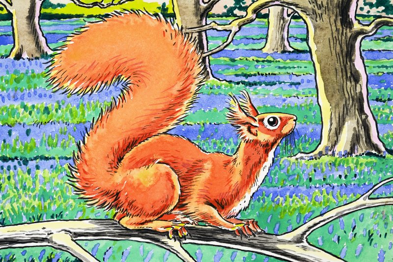 Pequeña ardilla roja de Harry M. Pettit