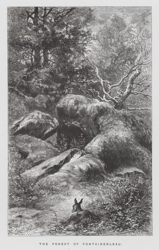 El Insecto: El Bosque de Fontainebleau de Hector Giacomelli