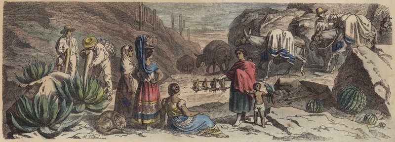 Un camino de montaña en México de Heinrich Leutemann