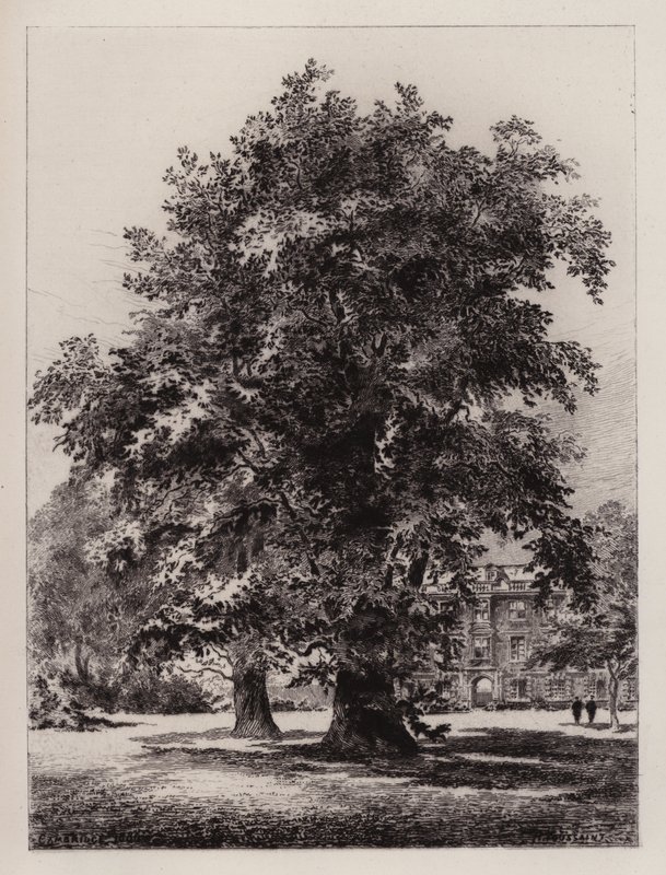 Cambridge: El jardín de Christ