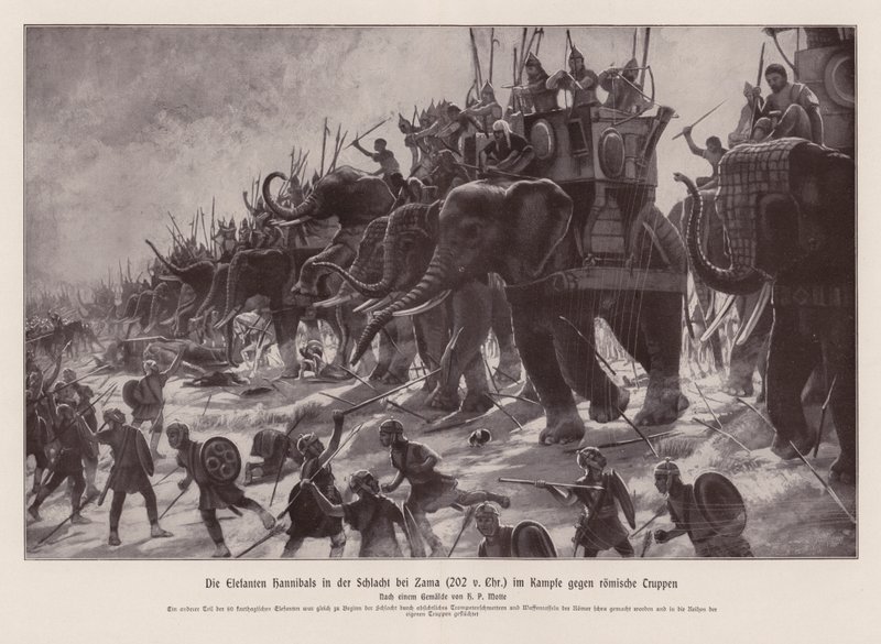 Los elefantes de Aníbal en la batalla de Zama, 202 a.C. (litografía) de Henri Paul (after) Motte