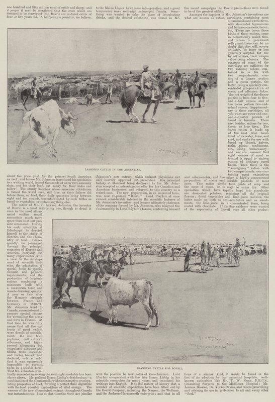 Ganado en Argentina de Henry Charles Seppings Wright