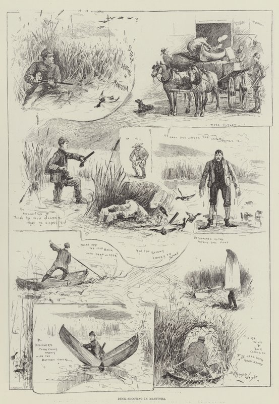 Caza de patos en Manitoba de Henry Charles Seppings Wright