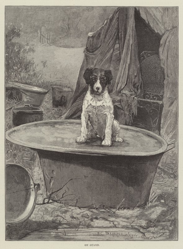 En Guardia de Henry Charles Seppings Wright