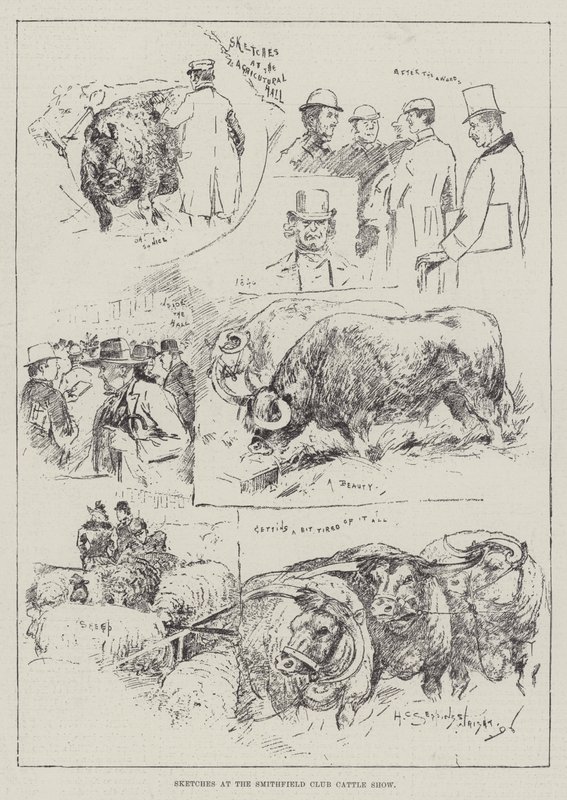 Bocetos en la exposición de ganado del Club Smithfield de Henry Charles Seppings Wright