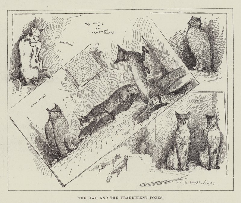 El búho y los zorros fraudulentos de Henry Charles Seppings Wright