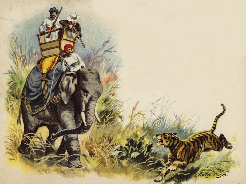 El Príncipe de Gales cazando tigres durante la gira real en India, 1905 de Henry Payne