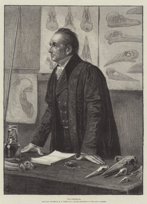 El profesor de Henry Stacey Marks