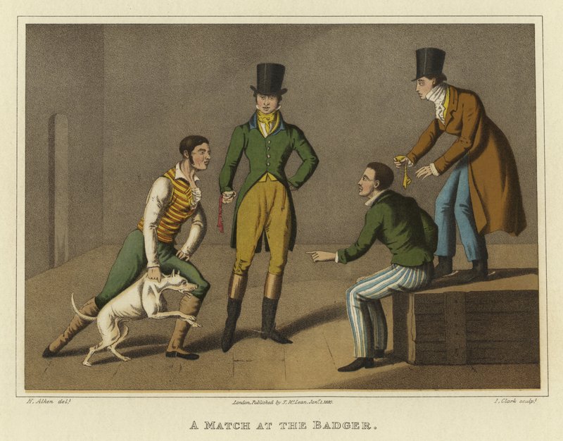 Un partido en el tejón de Henry Thomas Alken