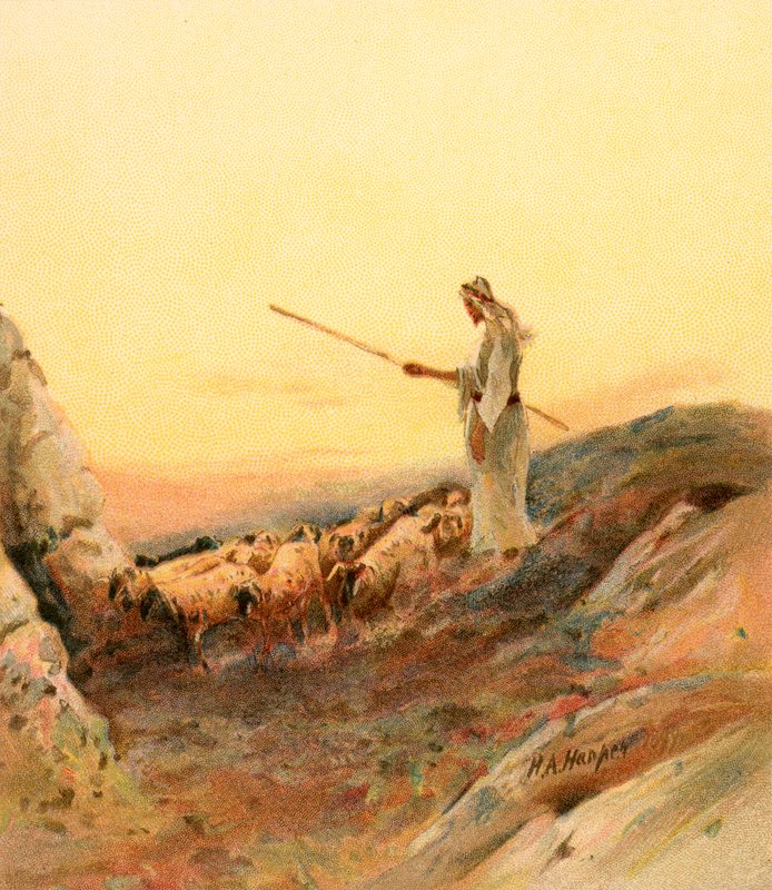 Un pastor contando sus ovejas de Henry Andrew Harper