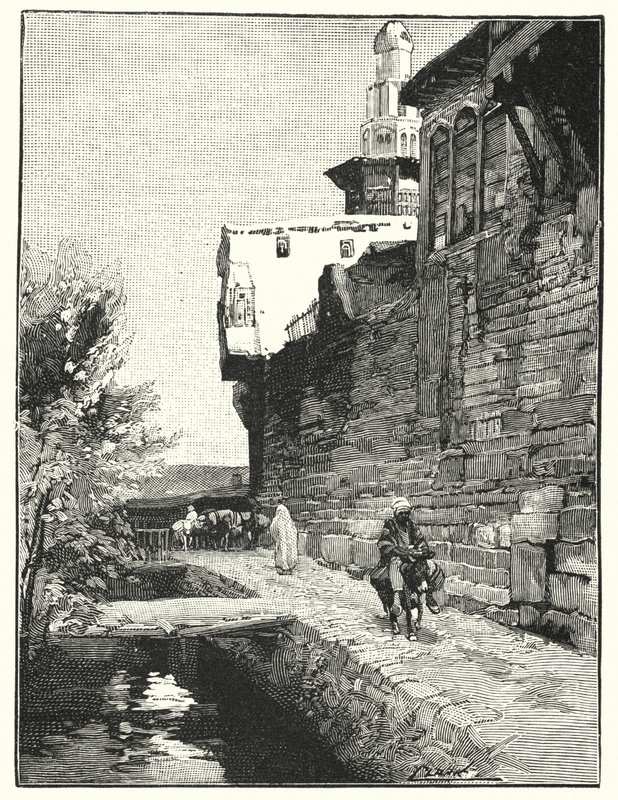 Muralla de la ciudad de Damasco de Henry Andrew Harper