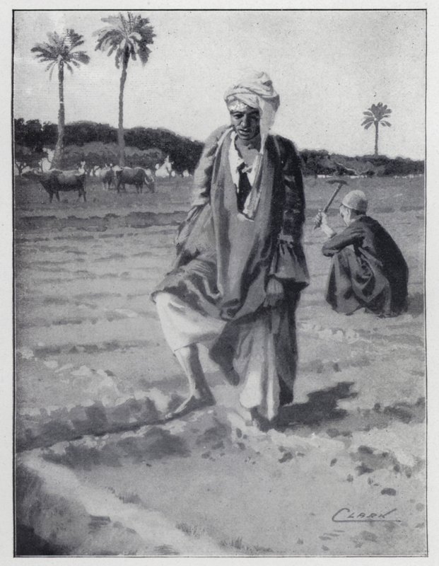 Regando con el pie en Gizeh, Egipto de Henry Andrew Harper