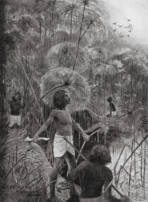 Matar pájaros en las marismas (litografía) de Henry Charles Seppings Wright