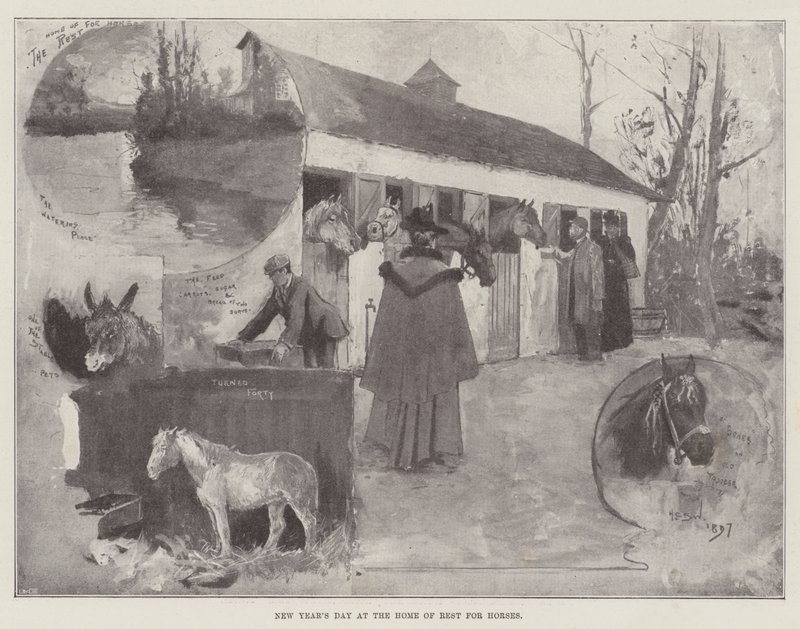 Día de Año Nuevo en el Hogar de Descanso para Caballos de Henry Charles Seppings Wright