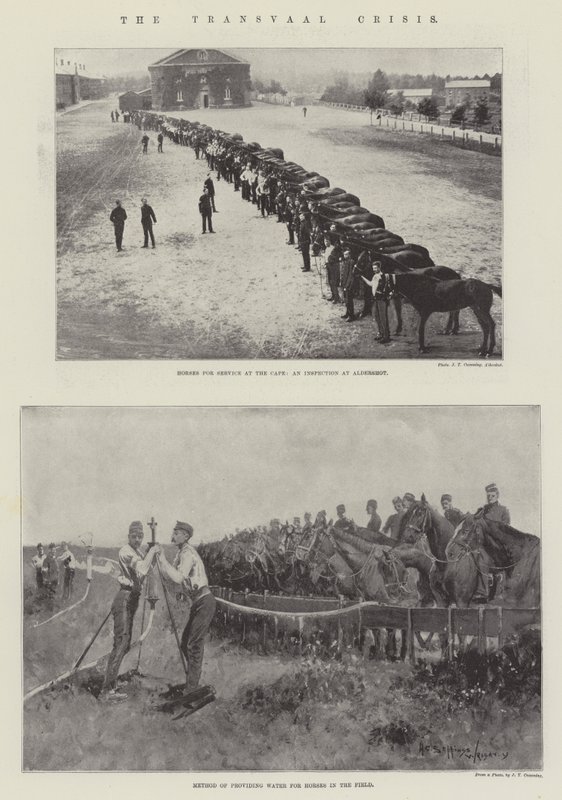La Crisis del Transvaal de Henry Charles Seppings Wright