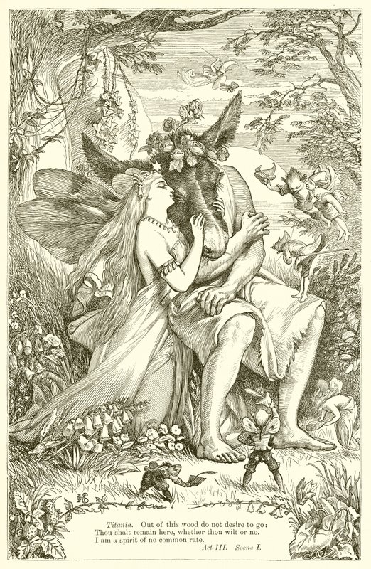 Sueño de una noche de verano de Henry Courtney Selous