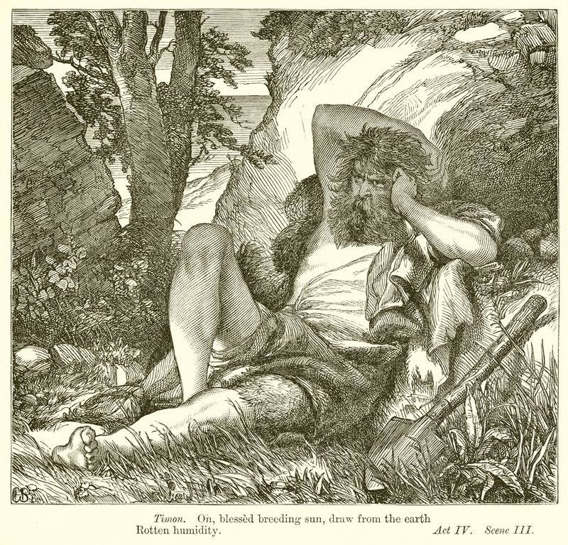 Timon de Atenas de Henry Courtney Selous