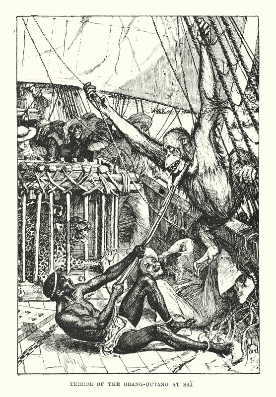 Terror del orangután en Sai (grabado) de Henry Justice Ford