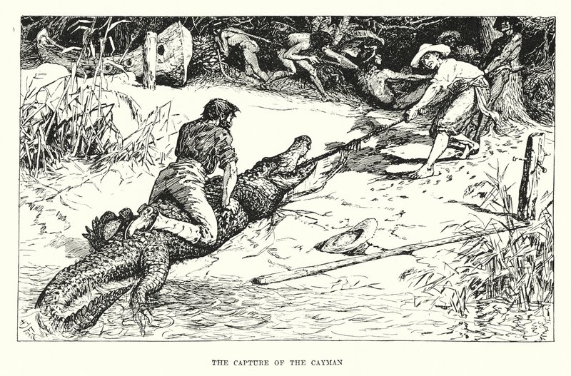 La captura del Caimán (grabado) de Henry Justice Ford