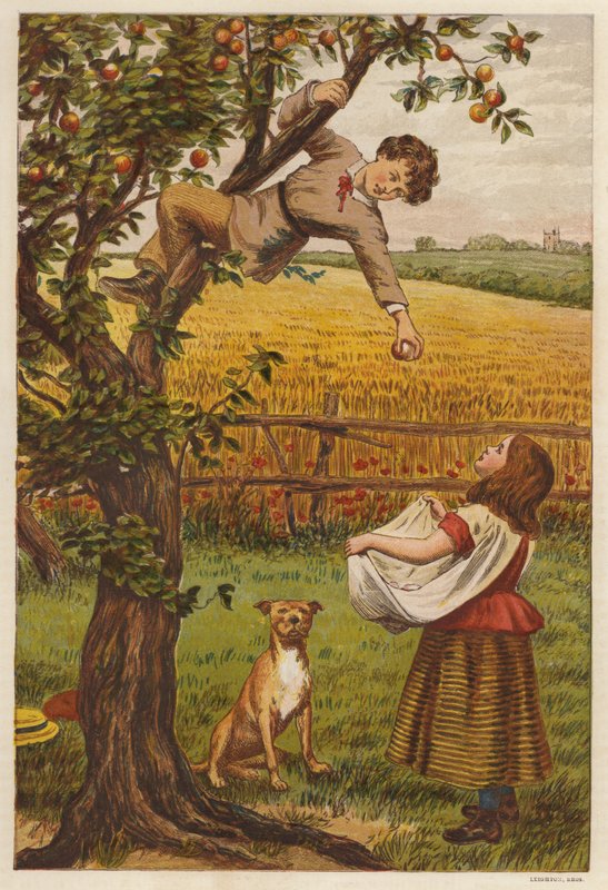 Recogiendo manzanas (litografia de color) de Henry Robert Robertson