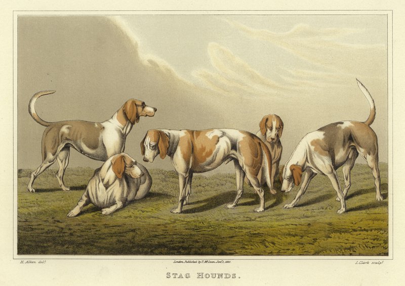 Perros de caza (cromolitografía) de Henry Thomas Alken