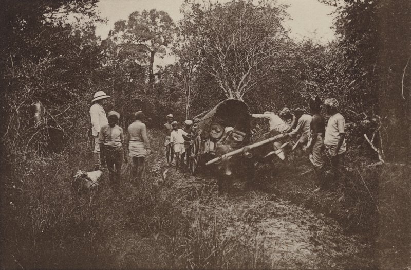 Ciudades en ruinas de Ceilán: En ruta hacia Polonnaruwa (foto en blanco y negro) de Henry W. Cave