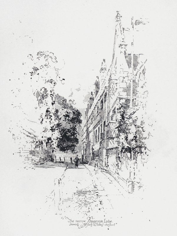 El estrecho Brasenose Lane, Oxford, mostrando All Souls