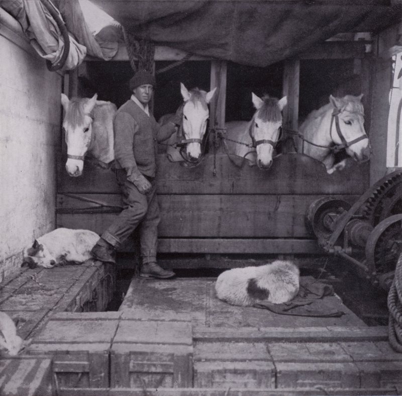 Capitán Oates con ponis y perros en el mar de Herbert Ponting