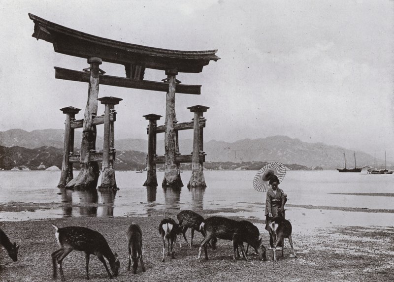 El viejo Torii en Miyajima de Herbert Ponting