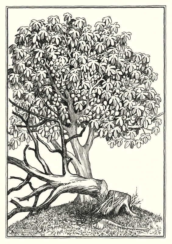 Ilustración del Sermón de la Montaña (grabado) de Horace J. Knowles