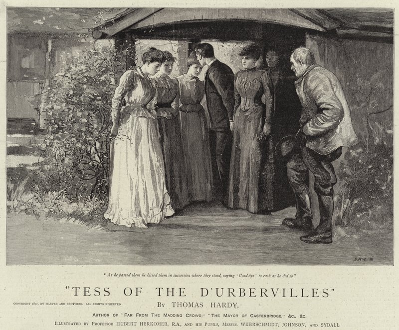 Tess de los d