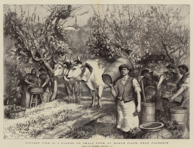 Tiempo de Vendimia en un Podere o Pequeña Granja en Monte Fiano, cerca de Florencia de Hubert von Herkomer