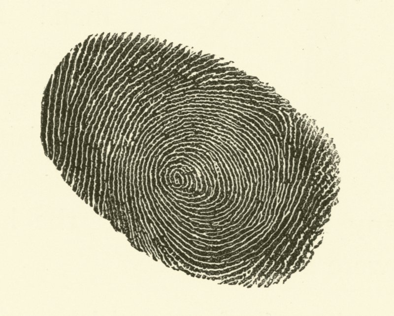 Huella dactilar de Hugh Rowley