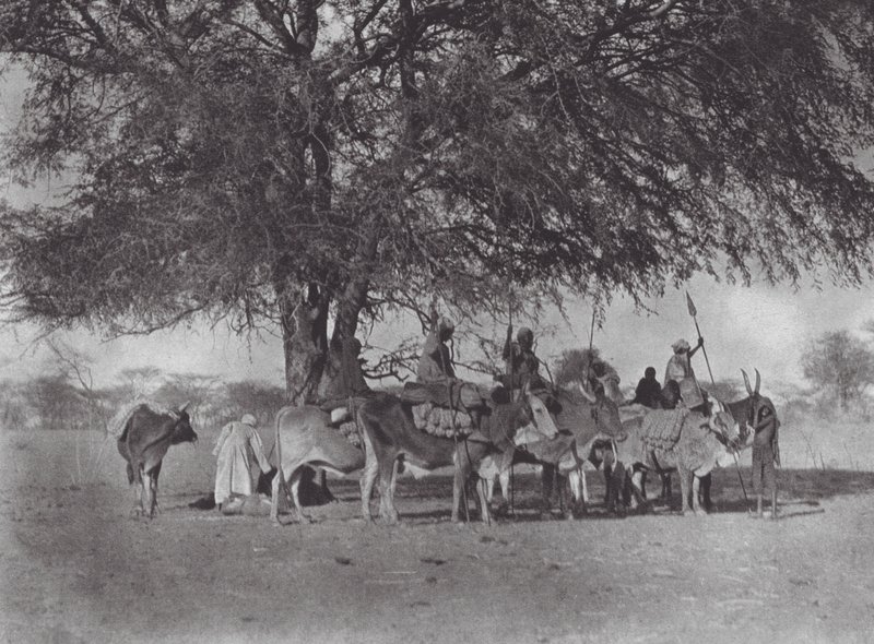 África: Caravana de jinetes de bueyes en el Nilo Blanco (foto b/n) de Hugo Adolf Bernatzik