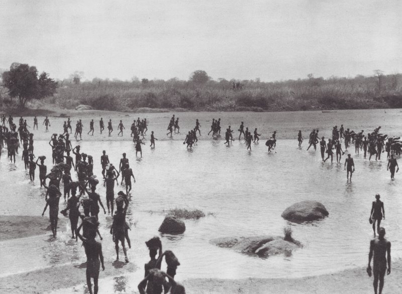 África: Morus construyendo un puente cerca de Amadi (foto b/n) de Hugo Adolf Bernatzik