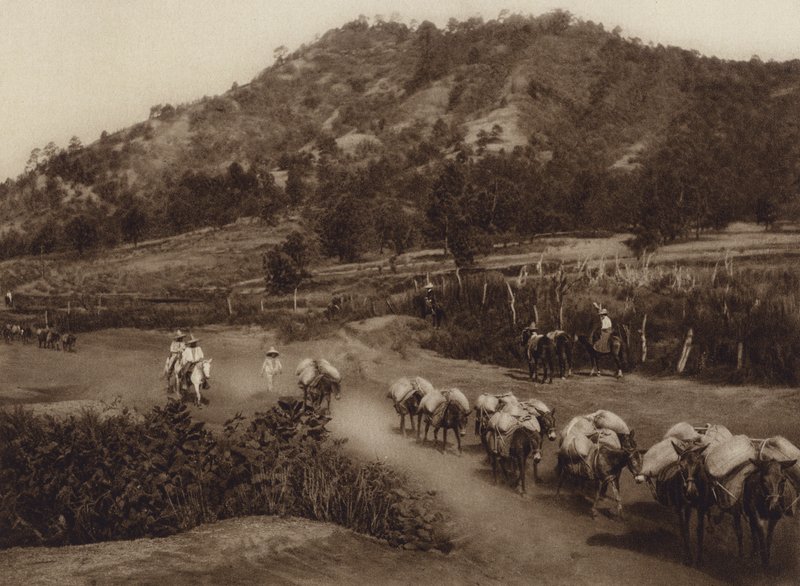 Mexico: Colona de transporte en la parte interior del pais (b/w photo) de Hugo Brehme