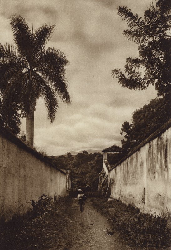 Mexico: Cuernavaca, Calle conduciendo a la aldea de San Antonio (b/w photo) de Hugo Brehme