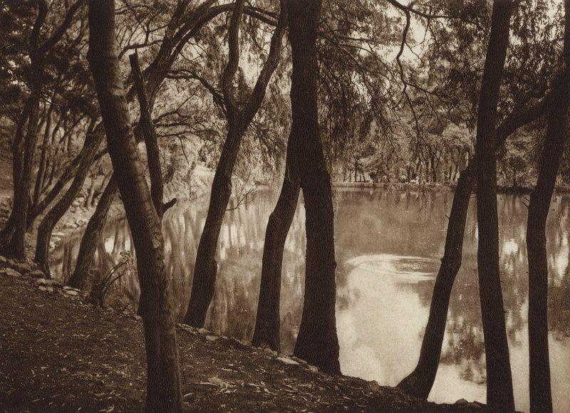 Mexico: Las fuentes de Tlalpam D F (b/w photo) de Hugo Brehme