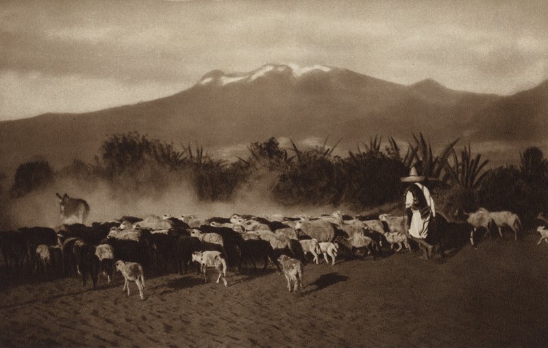 Mexico: Los alrededores de Amecameca (b/w photo) de Hugo Brehme
