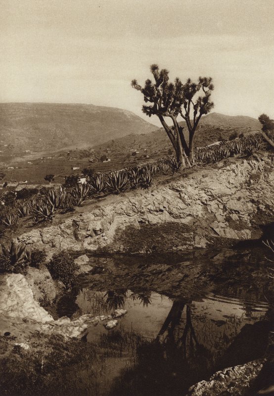 Mexico: Los alrededores de Toluca (b/w photo) de Hugo Brehme