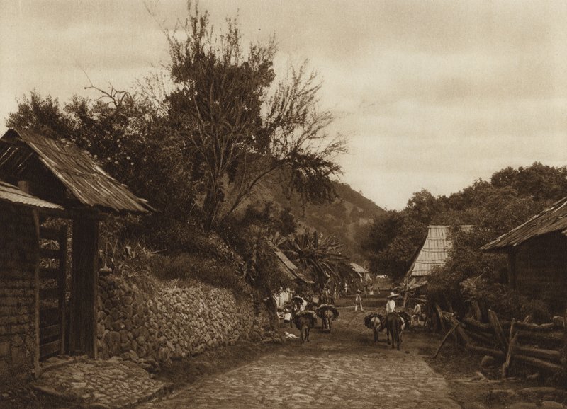 Mexico: Los alrededores de Uruapam (b/w photo) de Hugo Brehme