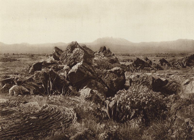 México: Pedregal, Corriente de basalto-lava cerca de San Angel (foto b/n) de Hugo Brehme