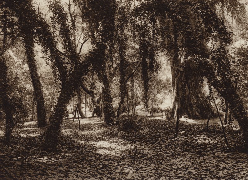 Mexico: Puesto idilico en el parque de Chapultepec (b/w photo) de Hugo Brehme